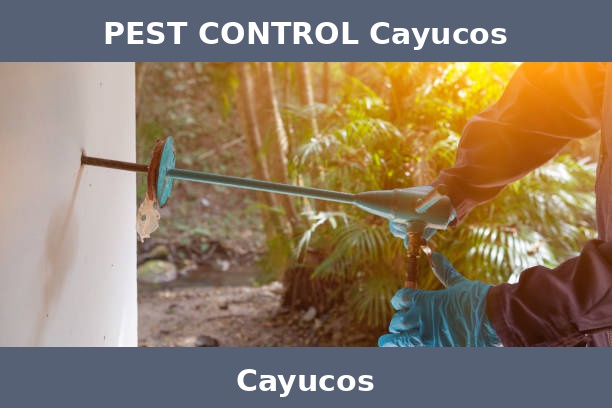 PEST CONTROL Cayucos